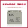 Batería Shengyang Sp12-24 Batería Shengyang 12V24Ah Batería Libre de Mantenimiento Batería para UPS