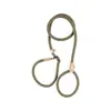 Corda-P para cachorro cor de macaron, corda redonda de PP durável, guia de treinamento para cães, guia de passeio para animais de estimação com corrente P integrada, em estoque
