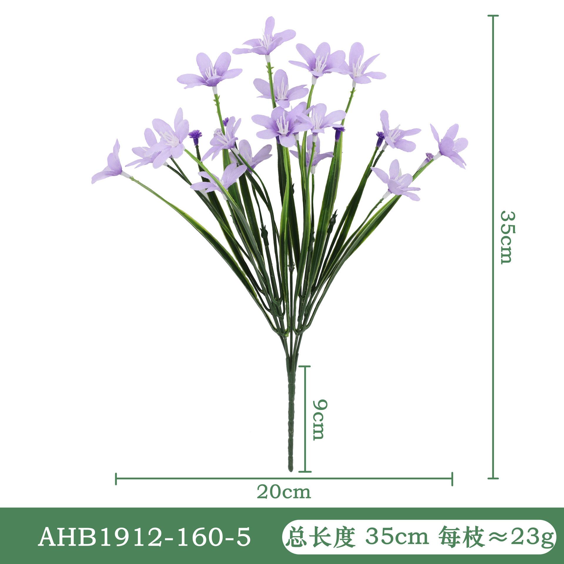 春草兰花-紫色AHB1912.jpg