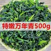 Novedad Peso neto 500g Papas Fritas de Espárragos Verduras Deshidratadas Verduras de Oliva Verduras Secas Bok Choy Deshidratado Colinabo Verduras Secas