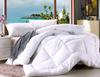 Hotel especial invierno Nuevo edredón de algodón de nueve agujeros 3D alta Elasticidad Núcleo de edredón hueco ropa de cama de hotel