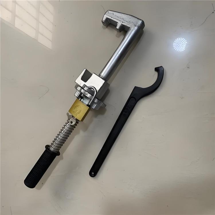 尖轨铁路道岔钩锁器 (5)
