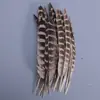 Venda Direta de Fábrica de Quase 100 Tipos de Acessórios Naturais de Penas Pequenas para Joias DIY, Acessórios de Cabeça, Broches, Chapéus, Materiais de Decoração para Artesanato