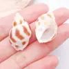10g ou Mais Pingentes Naturais de Concha Perfurada para Pulseira Colar Brinco DIY Pacote de Materiais para Joias Atacado