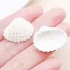 10g Colgante de Concha Natural Perforada Oceánica DIY Creativo Hecho a Mano Cadena de Cintura Collar Llavero Accesorios de Joyería Materiales