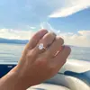 Anillo de Mujer Europeo y Americano Transfronterizo Estilo INS Boda Alta Lujo Serie de Circonita Ovalada Moda Gama Alta Diseño Versátil Mujer