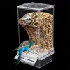 Comedero Automático Dispensador Anti-Salpicaduras Alimentador con Dispensador de Polvo para Periquitos Pequeños y Medianos Accesorios para Jaulas de Pájaros
