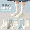 Meias infantis de algodão de Xinjiang, modelos de primavera e outono, 100% algodão, meias sem costura de cano médio, meias de inverno para meninas estilo coreano com renda de princesa
