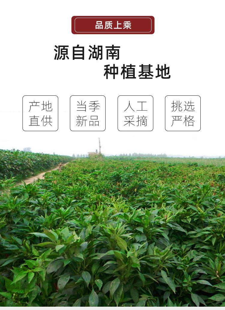 详情_03