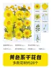 Flores Secas Flores Prensadas Material DIY Flores Prensadas Folhas Misturadas Team Building Pai-Filho Artesanato com Epóxi Flores Naturais Reais Espécimes de Plantas