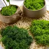 Musgo de Simulación Musgo Falso Césped Biónico Paisajismo Césped de Seda Cubierta de Superficie para Maceta Plantas Verdes Plantas en Maceta Plantas Verdes Flores