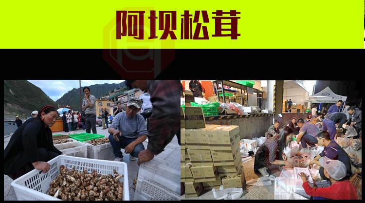 组合详情_11.jpg