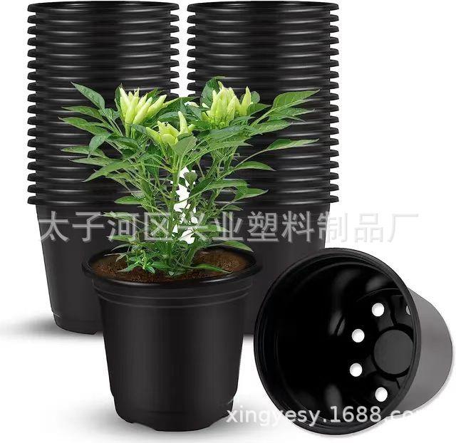 微信图片_20241214142949