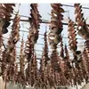 Pescado Jinchang Secado al Sol Ligeramente, Pargo Dorado de Aguas Profundas, Pescado Salado Seco, Productos Marinos Secos, Pescado Jinchang, Especialidad de Zhanjiang, Secado al Aire, Guangdong