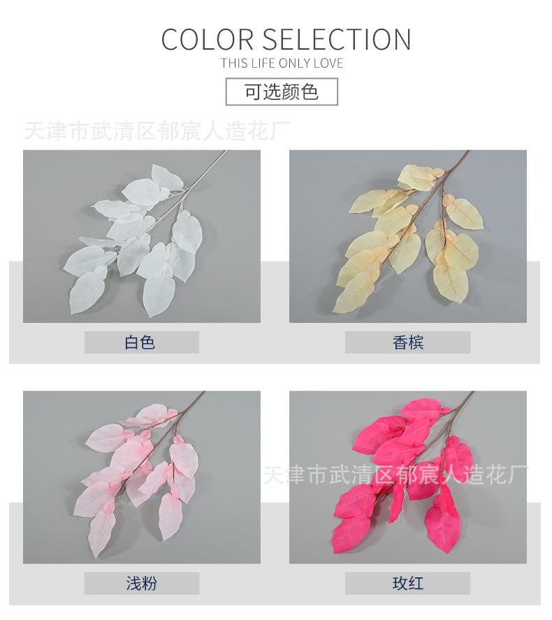 详情_02.png