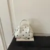 Bolso Pequeño Elegante de Gama Alta para Mujer 2026 Nueva Moda Versátil Bolso Cruzado Bolso de Mano Exquisito Bolso Almohada Bolso Tote Pequeño