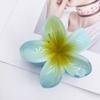 Grampo de Cabelo Grande de Frangipani para Cabelos Grossos, Presilha Feminina Primavera e Verão para Penteados Updo na Nuca, Presilha de Tubarão para Atacado, Estilo Coreano com Toque de Luxo
