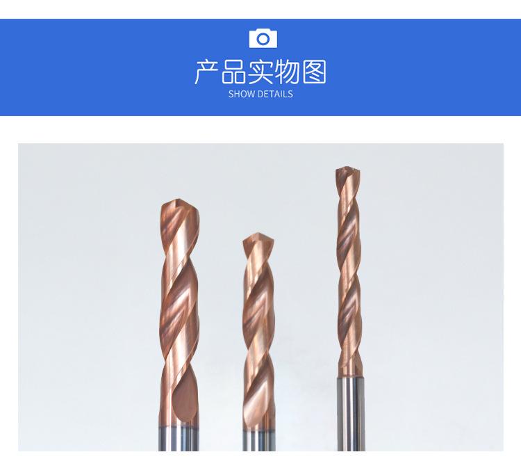 5倍径_07.jpg