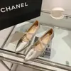 Sapatos femininos de bico fino com salto grosso estilo francês, novo estilo fada outono 2026, adequados para combinar com saias, com tira de strass, sapatos Mary Jane