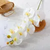 Flores Artificiais Phalaenopsis de Alta Qualidade com Toque Real Conjunto de Flores Artificiais Decoração para Hotel Quarto Decoração com Flores Ornamentos Flores Secas