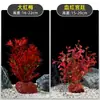 Plantas de Acuario, Decoraciones de Paisajismo con Césped Real, Plantas Aptas para Principiantes, Crisantemo Verde Ciempiés, Plantas de Sombra, Piedra Volcánica, Plantas Verdes Purificadoras de Agua