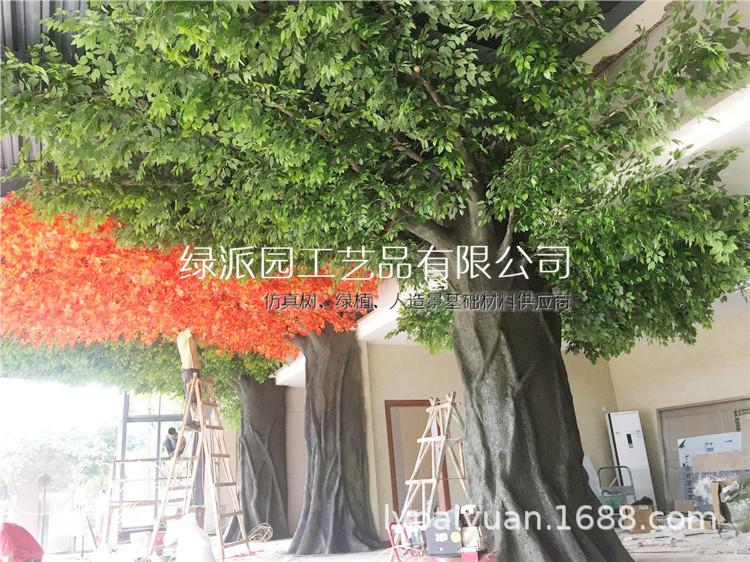 榕树048.jpg