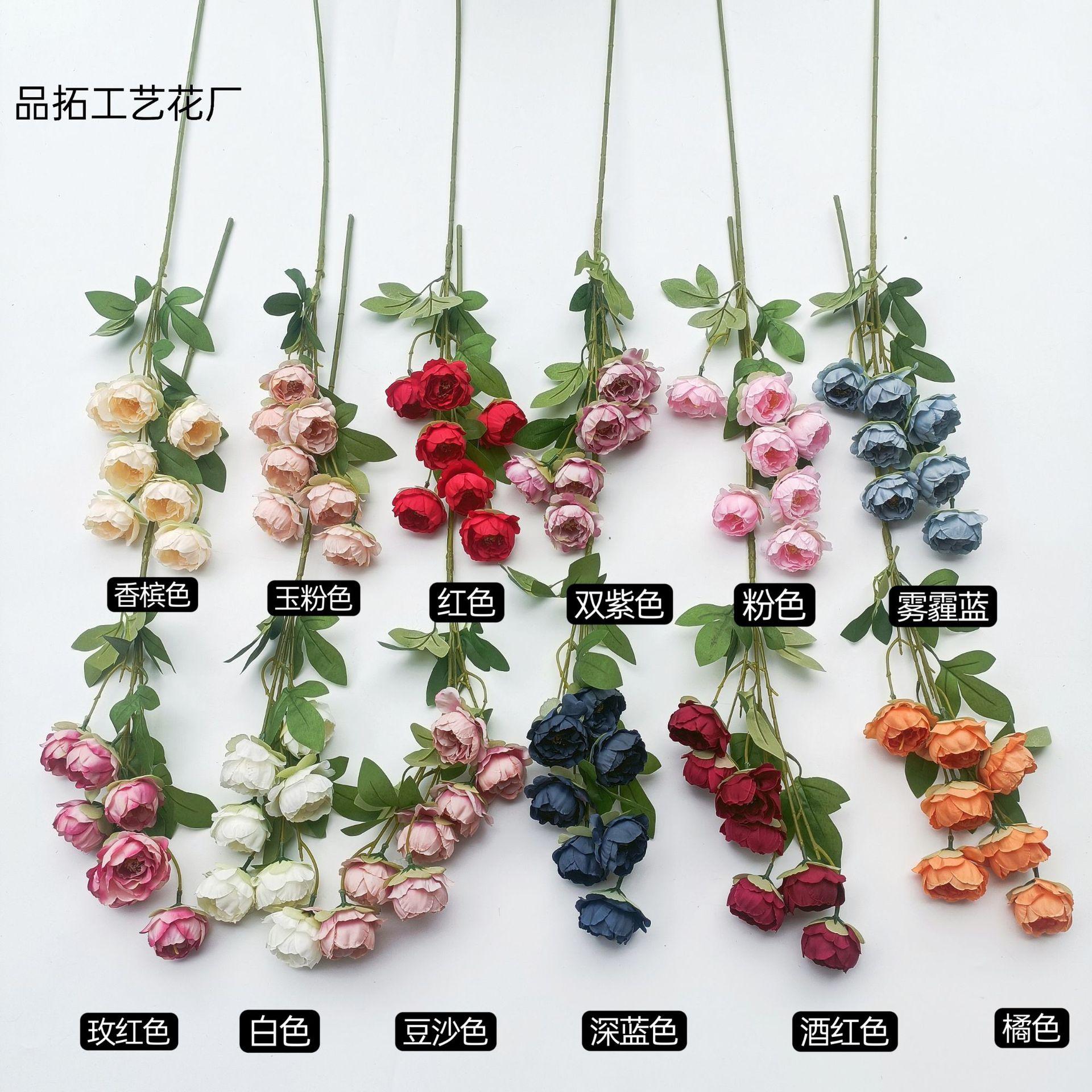 20a7445c3fde681959a7c3c5f5e5b7