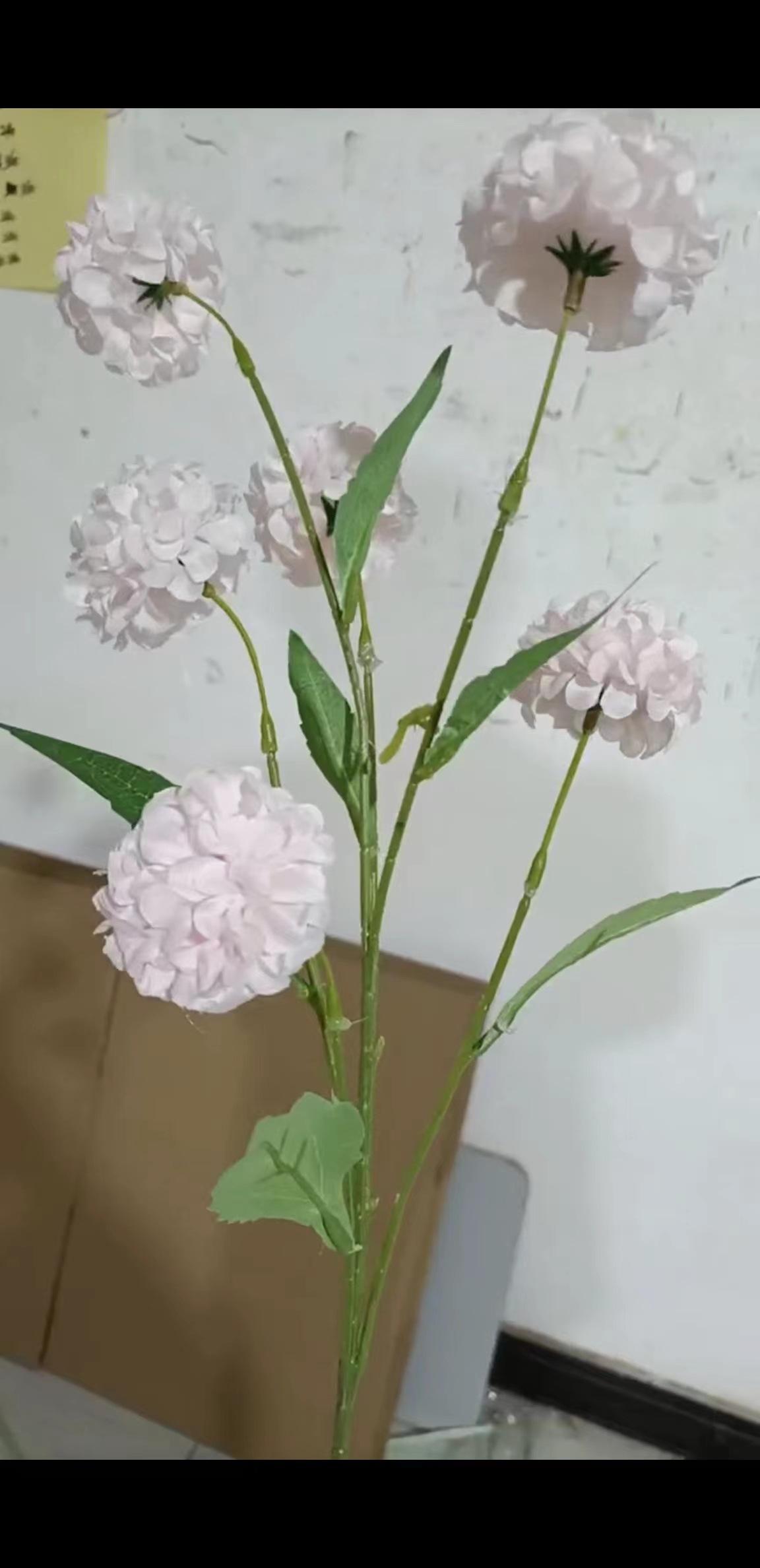 038996cc799a7885926117d454cb15