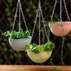 Planta Verde Doméstica Decorativa Cesta Colgante Plástico Colgante Planta Suculenta Colgante Maceta para Flores Creativa Personalizada Maceta para Flores Clivia
