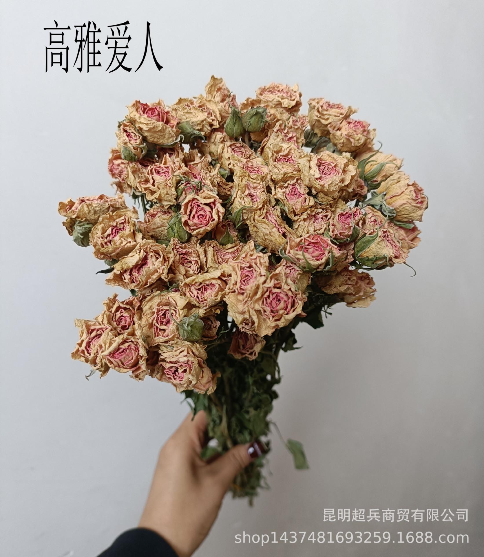 IMG20230727134728.jpg