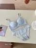 Lingerie Sexy de Renda para Mulheres com Seios Pequenos, Sutiã Push-Up Que Faz o Busto Parecer Maior, Suporte Lateral Espessado para Prevenir Queda, Especialmente Projetado para Seios Planos, Sem Fio