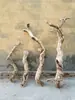 Terrario para reptiles paisajismo madera esquina de pestañas de serpiente caja de gecko lagarto trepador doble corona plataforma para tomar el sol patrón de dragón madera muerta