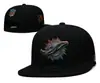 Gorra NFL 2025, gorra de béisbol, gorra de visera plana bordada, gorra de protección solar, visera grande, letras en inglés, visera ancha