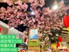 Ramas de flor de cerezo flor de durazno falsa plantas verdes de techo decoración enredaderas de flores de interior pared de celebridad de internet supermercado restaurante habitación cubierta superior fealdad