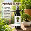 Fertilizante Rojo Nan de Hoja Pequeña Solución Nutritiva en Spray Foliar para Prevenir el Amarillamiento la Caída de Hojas Hojas Secas Fertilizante Especial Rojo Nan Fertilizante para Flores Tesoro de Hoja Verde