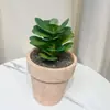 Plantas Artificiales de Suculentas con Ladrillo Rojo Flocado en Maceta, Populares en Línea, Adornos de Escritorio para Interiores de Alta Venta, Plantas en Maceta para Decoración de Jardín al por Mayor