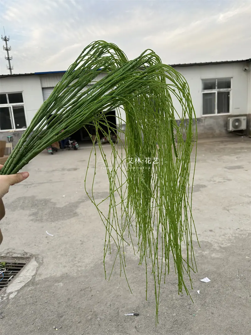 微信图片_20231105233400