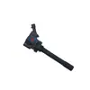 Adecuado para Dongfeng Fengxing Sx6 1.3t Jingyi X5 Lingzhi M5 1.3t Bobina de Encendido T10781