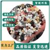Piso de terrazzo de pedra lavada colorida, pavimentação de pátio, pedra adesiva, pedras decorativas para vasos de plantas, paisagismo de aquário decorativo com peixes, pedras coloridas