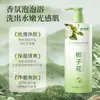 Champú con Fragancia de Aminoácidos de Gardenia Control de Grasa Anticaspa Gel de Ducha Limpieza Refrescante Venta al por Mayor de Fábrica