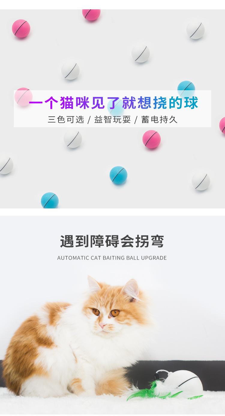 详情_03.jpg