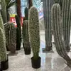 # Vários Tipos de Cactos para Decoração Externa de Deserto # Cacto Artificial Altamente Realista Planta Verde Artificial Coluna de Cacto