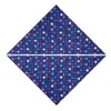 Modelo 2026 Transfronteiriço em Estoque Bandana de Animal de Estimação Bandeira Americana Lenço Bib para Dia da Independência para Gatos e Cachorros
