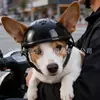 Nuevo Casco de Motocicleta Rosa para Perros y Gatos, Accesorio Deportivo para Exteriores con Orejas Expuestas