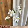 Venta al por mayor transfronteriza de orquídeas Bandai: Orquídeas artificiales Bandai de alta calidad, perfectas para decoraciones de bodas, arreglos de hibiscos y ramos de novia
