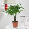 Árbol del Dinero Maceta Planta de Interior Tierra para Flores Pequeño Bonsái Cultivado en Maceta Planta Verde para Sala de Estar Oficina Fortuna Cerámica Maceta Pequeña