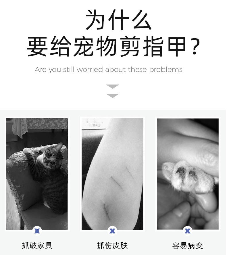 宠物剪五金件剪头（长尾刀头）_04.jpg