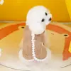 Ropa para Perros Mascotas Otoño Invierno Teddy Bichón Pomerania Ropa para Gatos Más Terciopelo Cálido Al Por Mayor 23 Chaleco de Terciopelo Dibujado