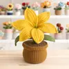 Vasos de Plantas Feitos à Mão em Tricô Mais Vendidos da Amazon, Enfeites de Mesa Acabados, Vasos de Flores de Tricô, Vasos de Flores de Lírio de Tricô