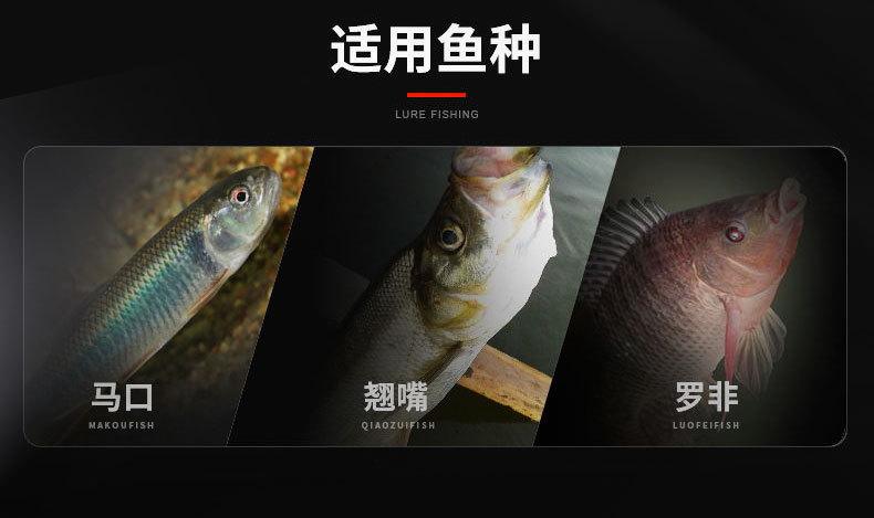 鱼饵42_02.jpg